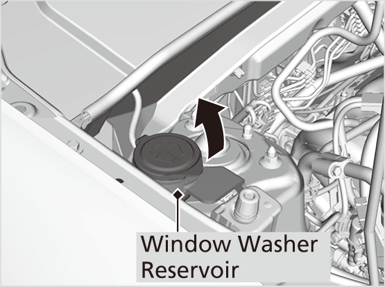 Winter windshield washer fluid ECON LINE -20C 
