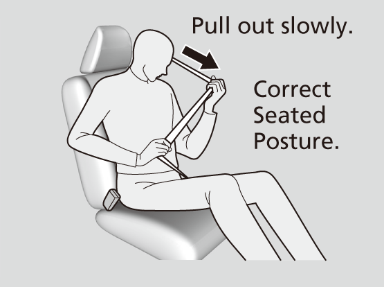 Fastening A Seat Belt HR V 2024 Honda Owner S Manual   ZZZ01134 