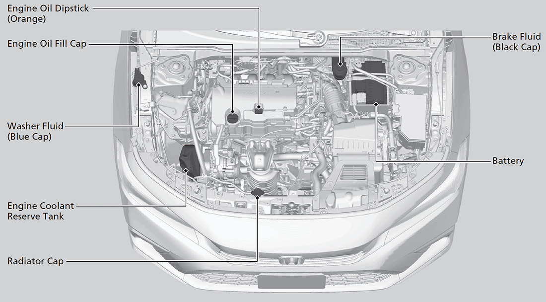 Maintenance Items Under The Hood CIVIC SEDAN 2024 Honda   T2016002 